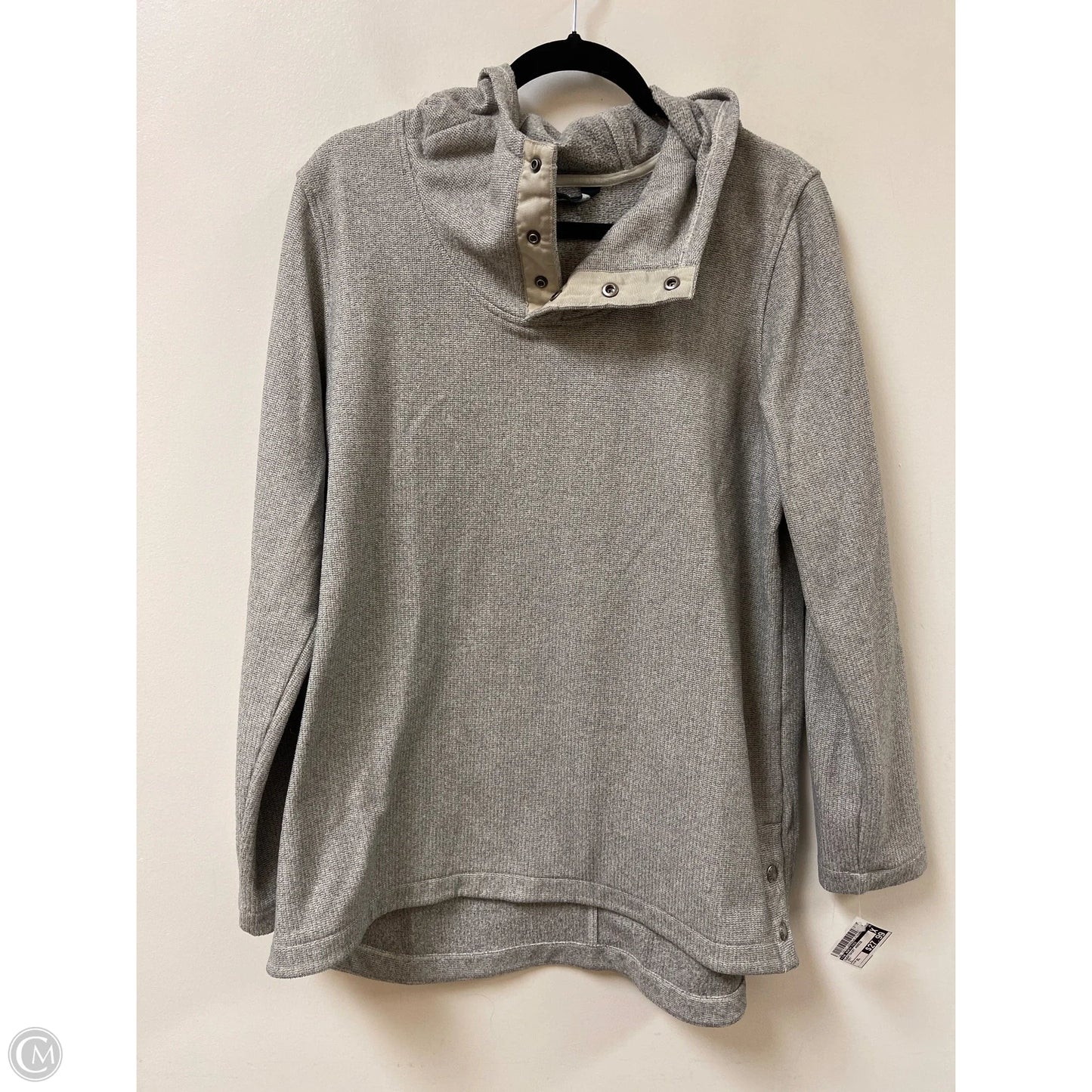 Sweatshirt Hoodie By The North Face In Grey, Size: Xl