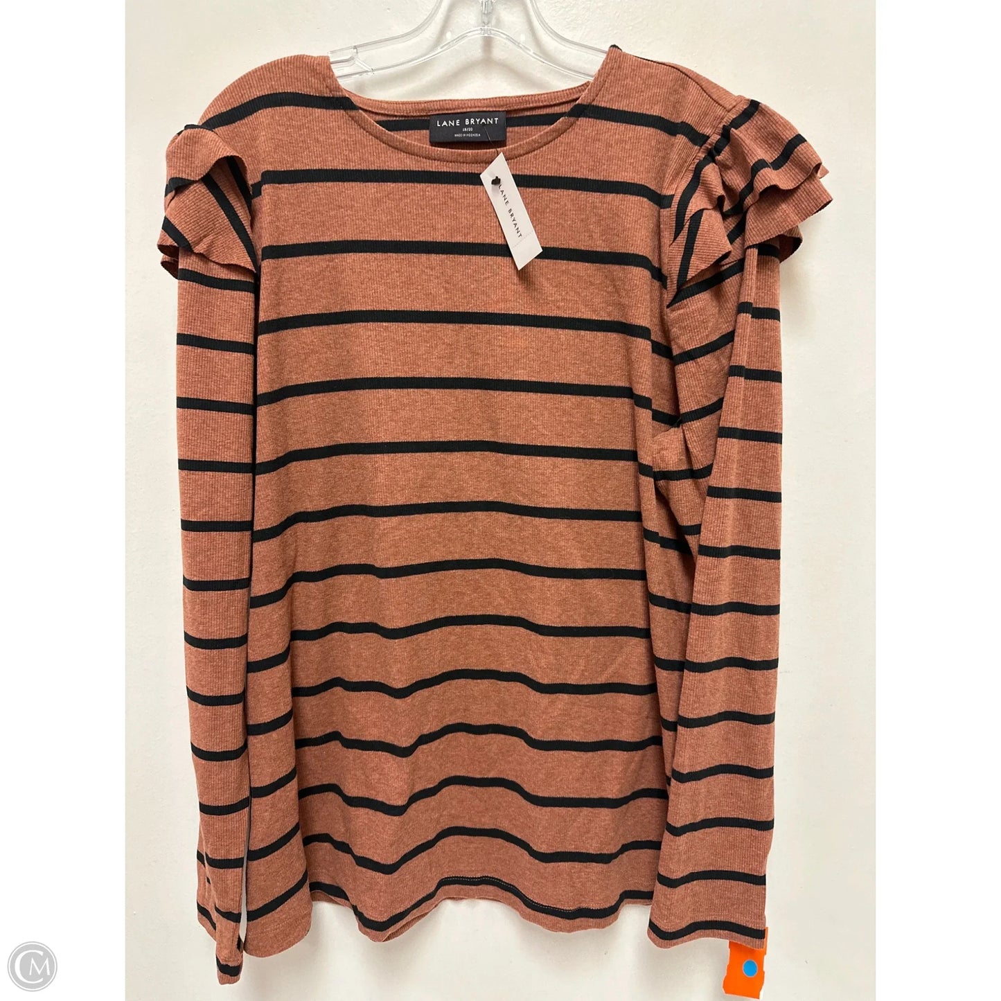 Top Long Sleeve By Lane Bryant In Brown, Size: 2x