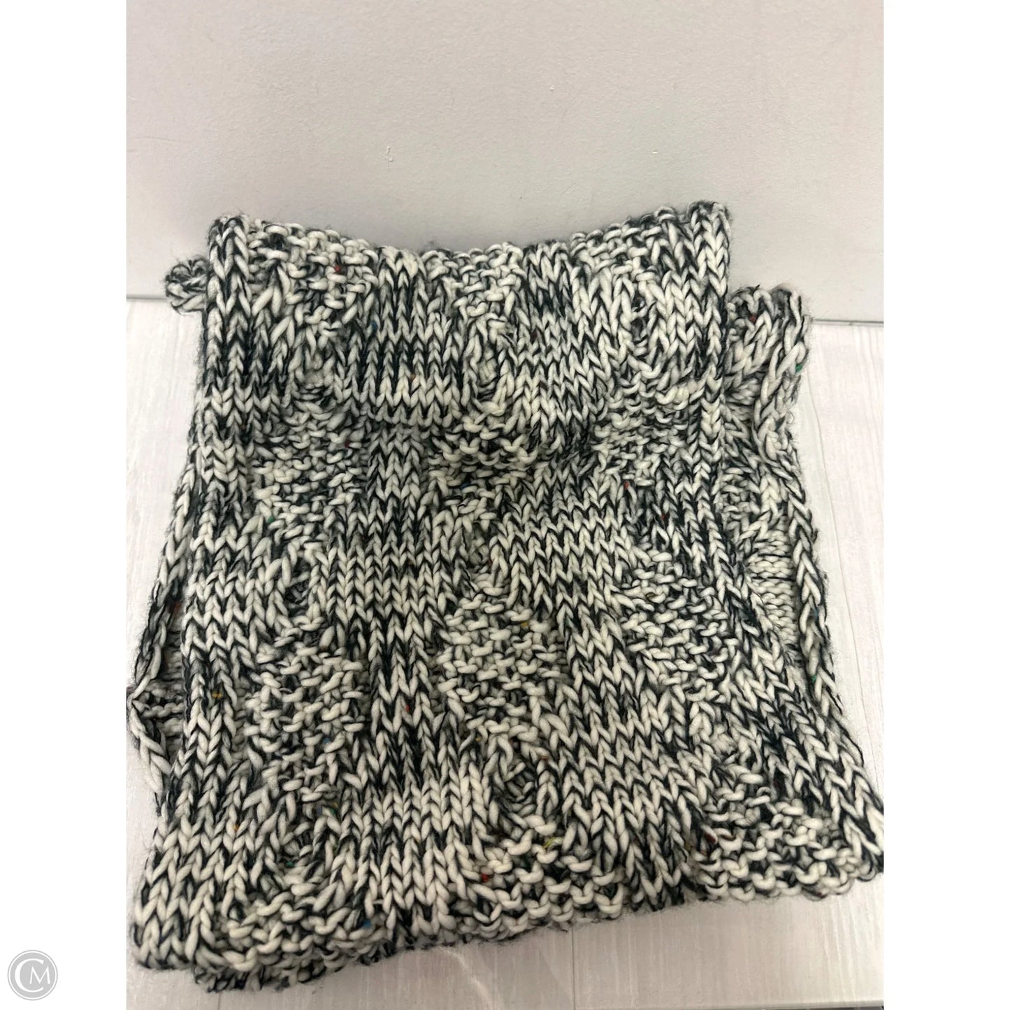 Scarf Winter By Loft In Multi-colored