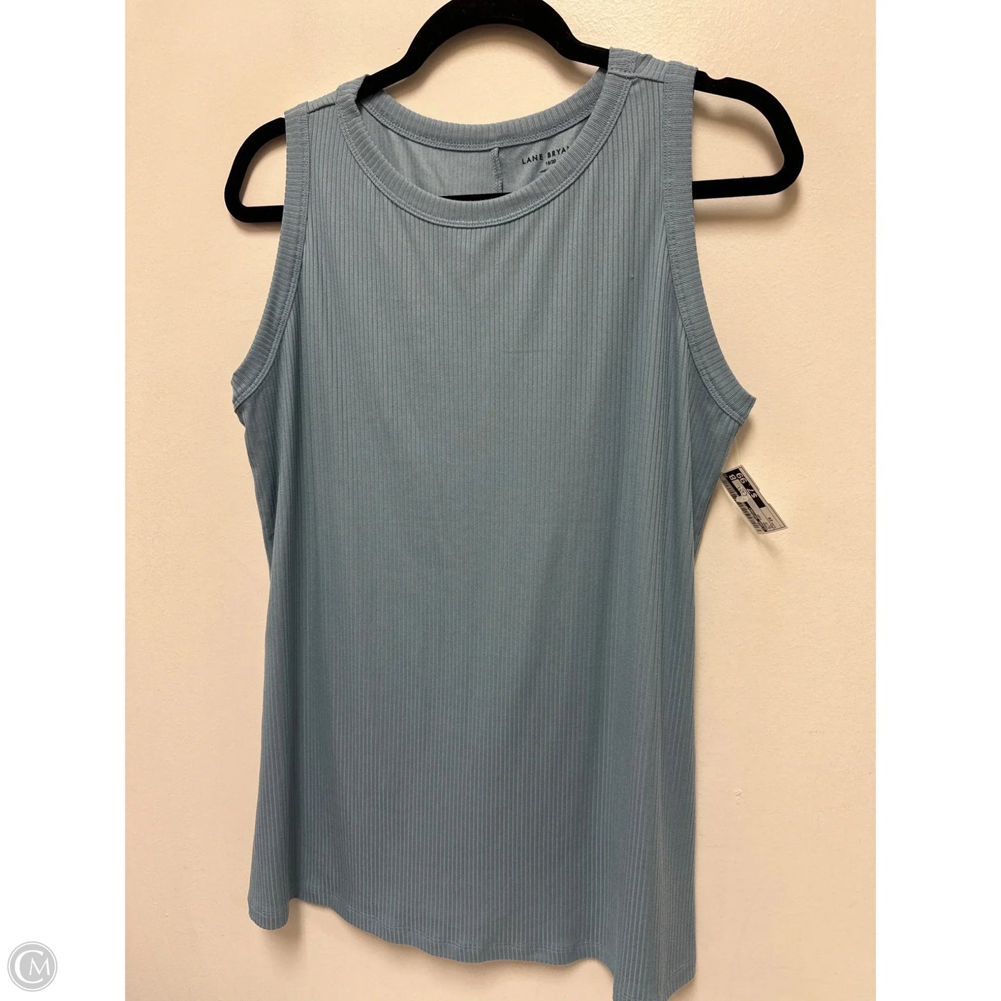 Tank Top By Lane Bryant In Blue, Size: 2x