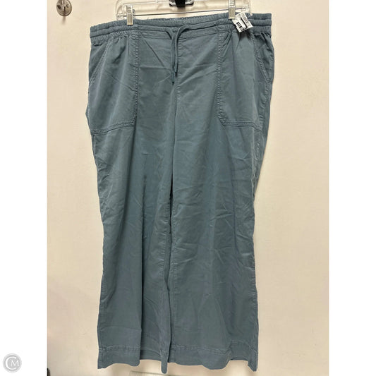 Pants Cargo & Utility By Orvis In Blue, Size: 20
