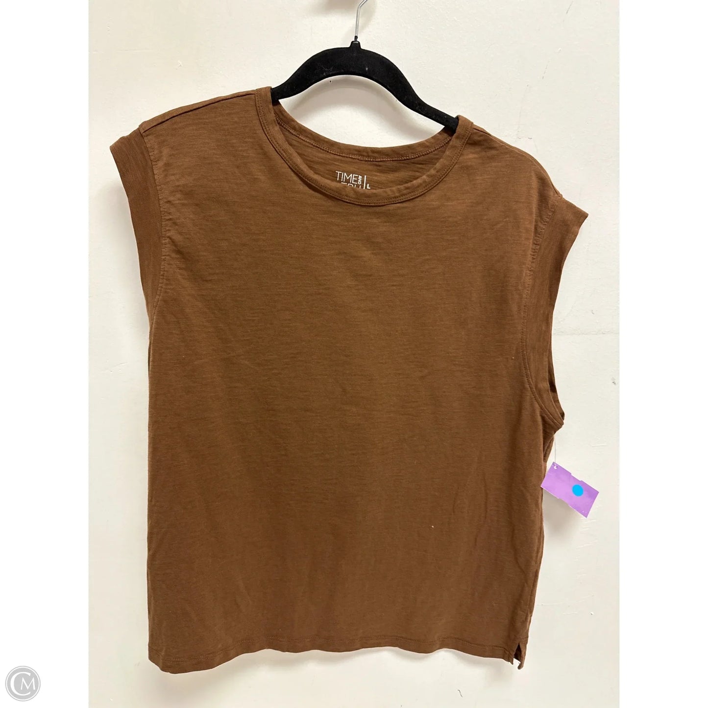 Top Sleeveless By Time And Tru In Bronze, Size: L