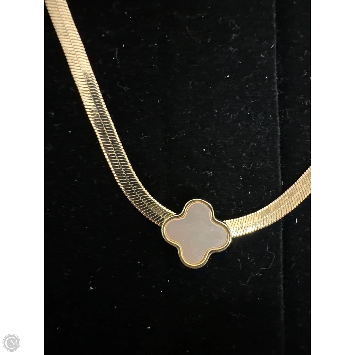 Necklace Choker & Collar By Clothes Mentor