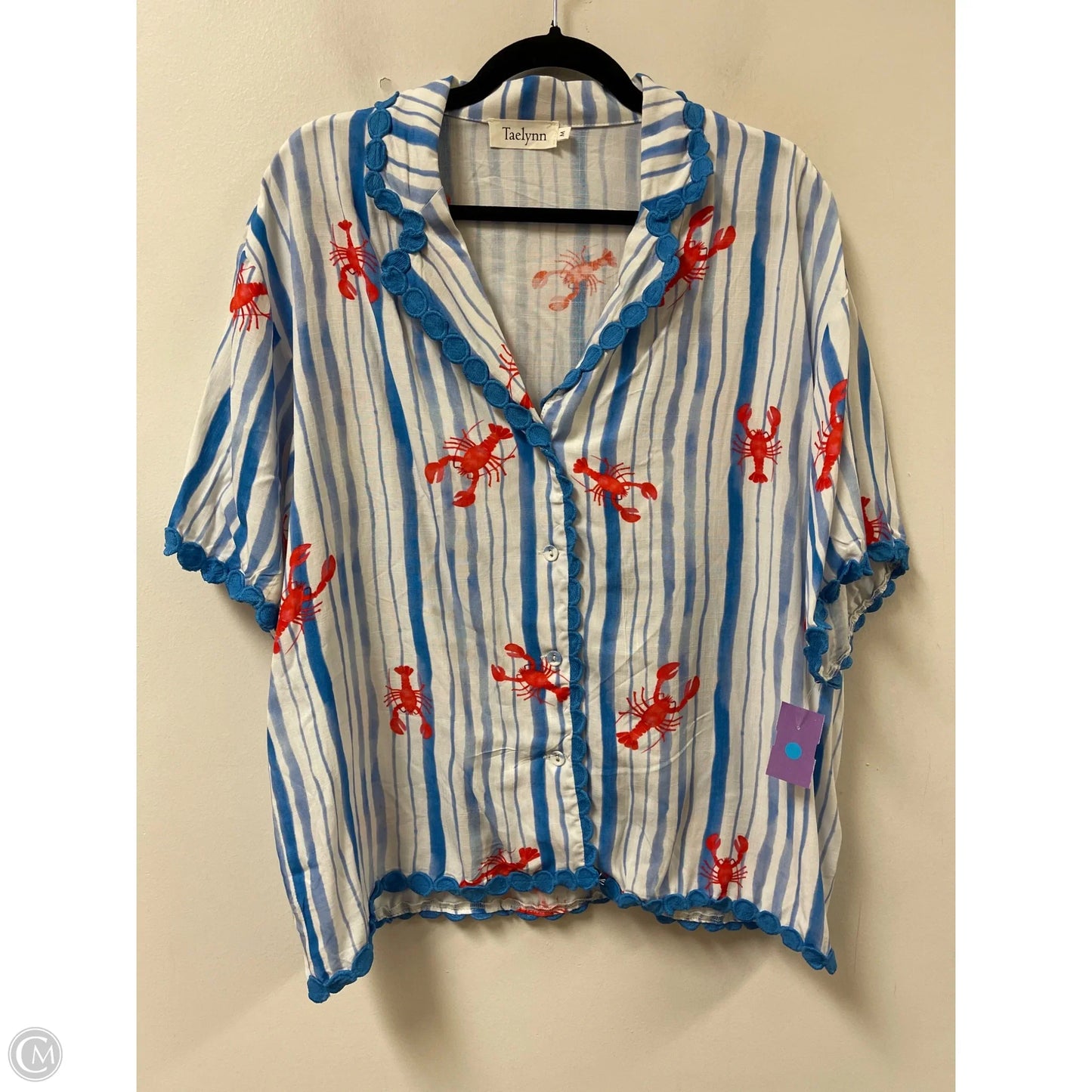Blouse Short Sleeve By Clothes Mentor In Blue, Size: M