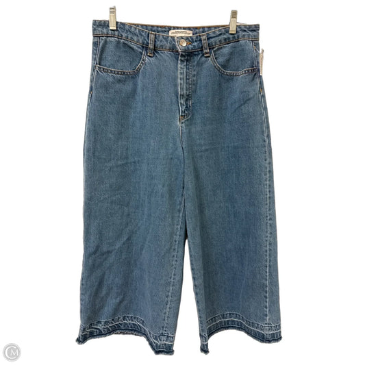 Jeans Wide Leg By Zara In Blue Denim, Size: 10