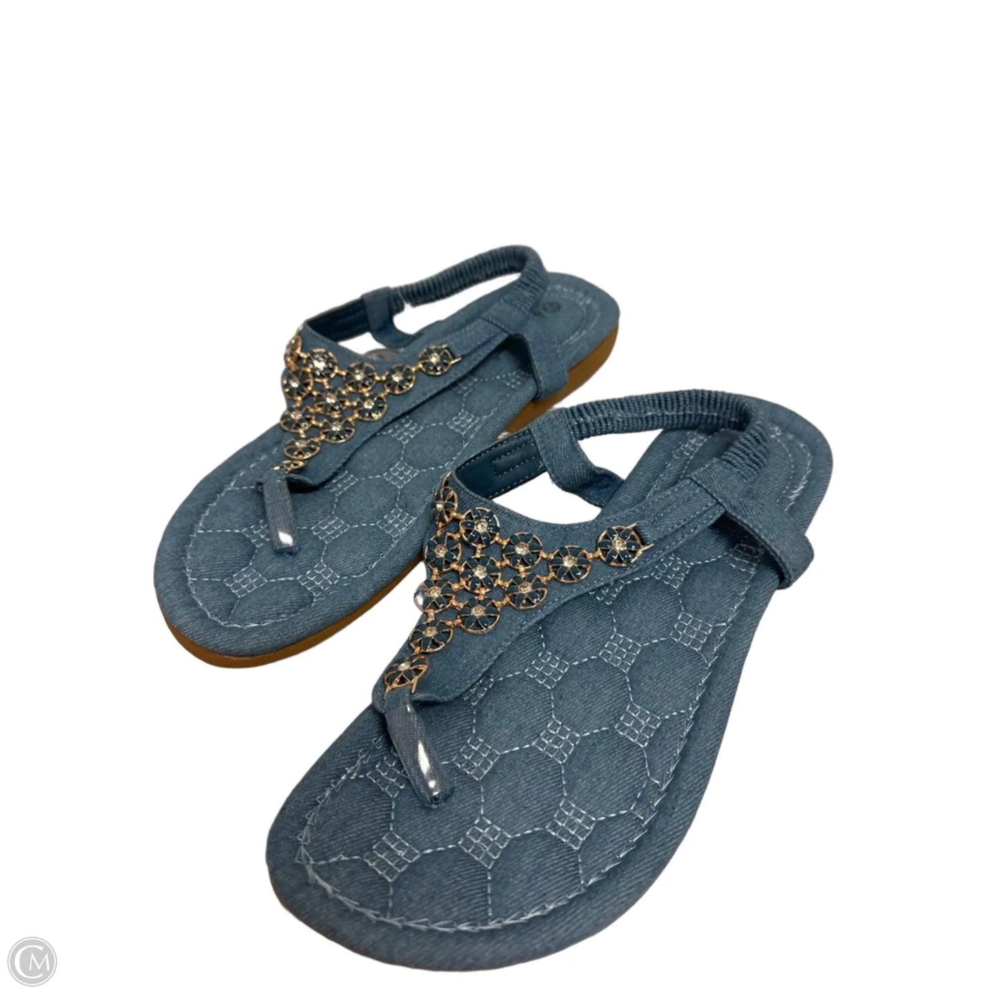 Sandals Flip Flops By Clothes Mentor In Blue, Size: 10