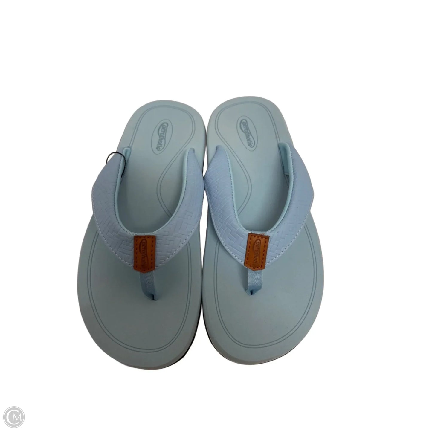 Sandals Flip Flops By Clothes Mentor In Blue, Size: 8