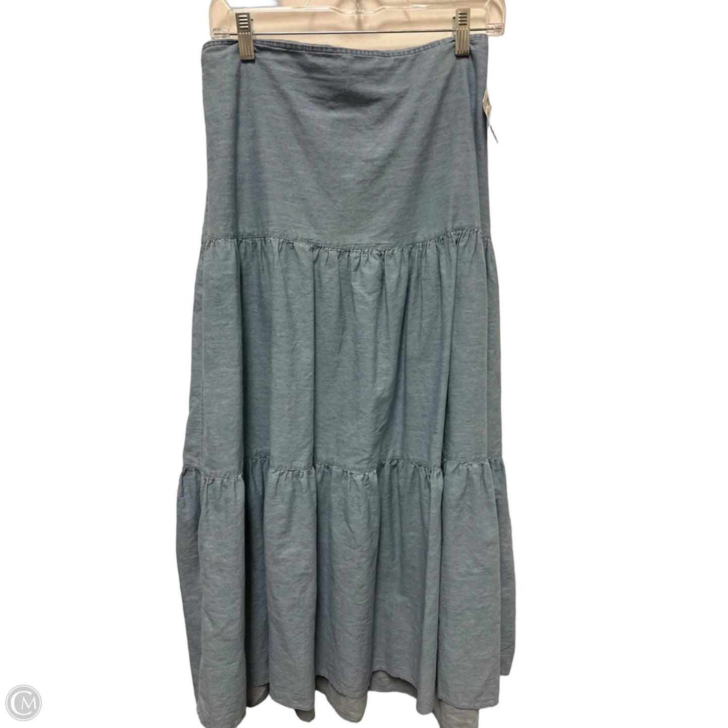 Skirt Maxi By Passport In Blue, Size: 12