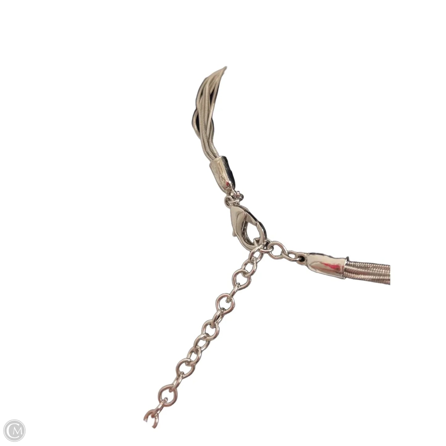 Necklace Lariat & Y-drop By Chicos
