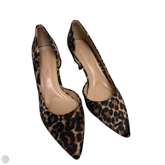 Shoes Heels Stiletto By Kelly And Katie In Animal Print, Size: 8.5