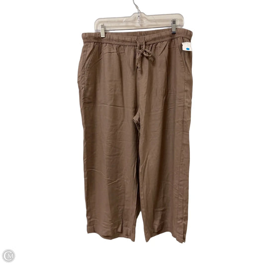 Pants Other By Splendid In Brown, Size: 16