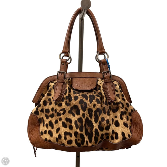 Handbag Luxury Designer By Dolce And Gabbana, Size: Large