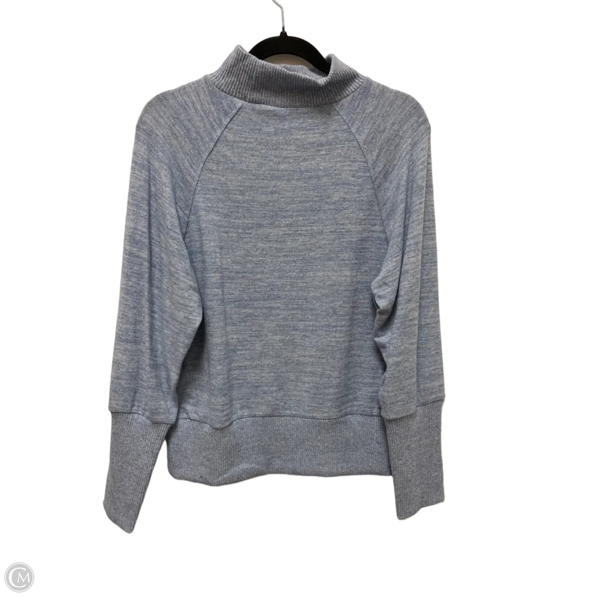 Sweater By Time And Tru In Blue, Size: S