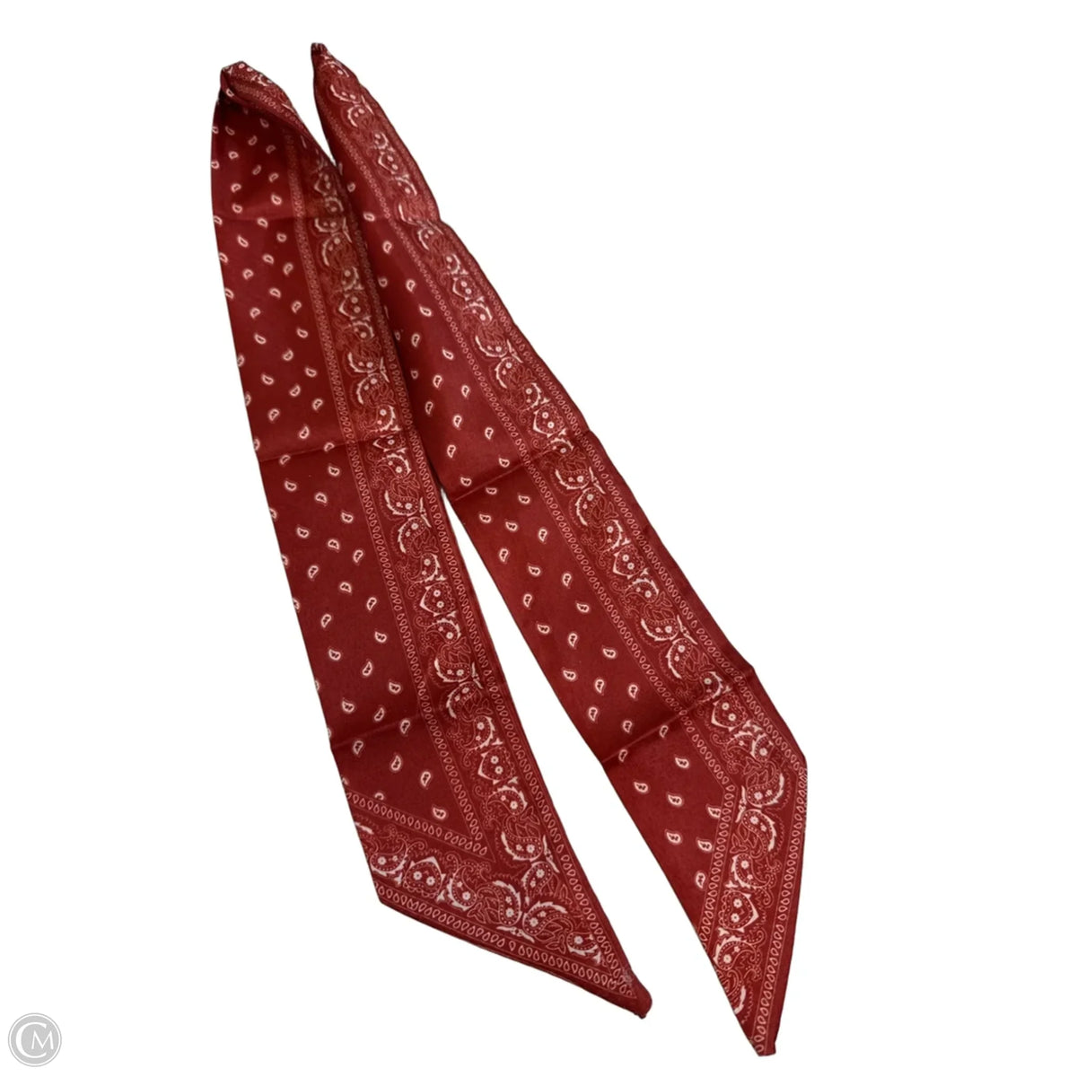Scarf Long By Clothes Mentor