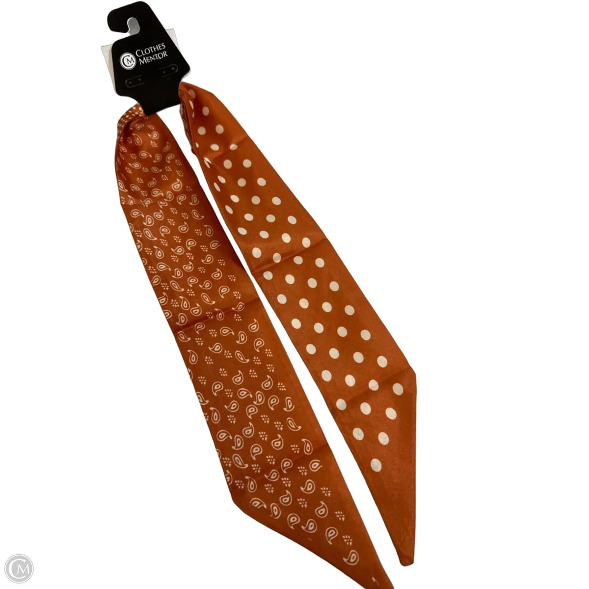 Scarf Long By Clothes Mentor