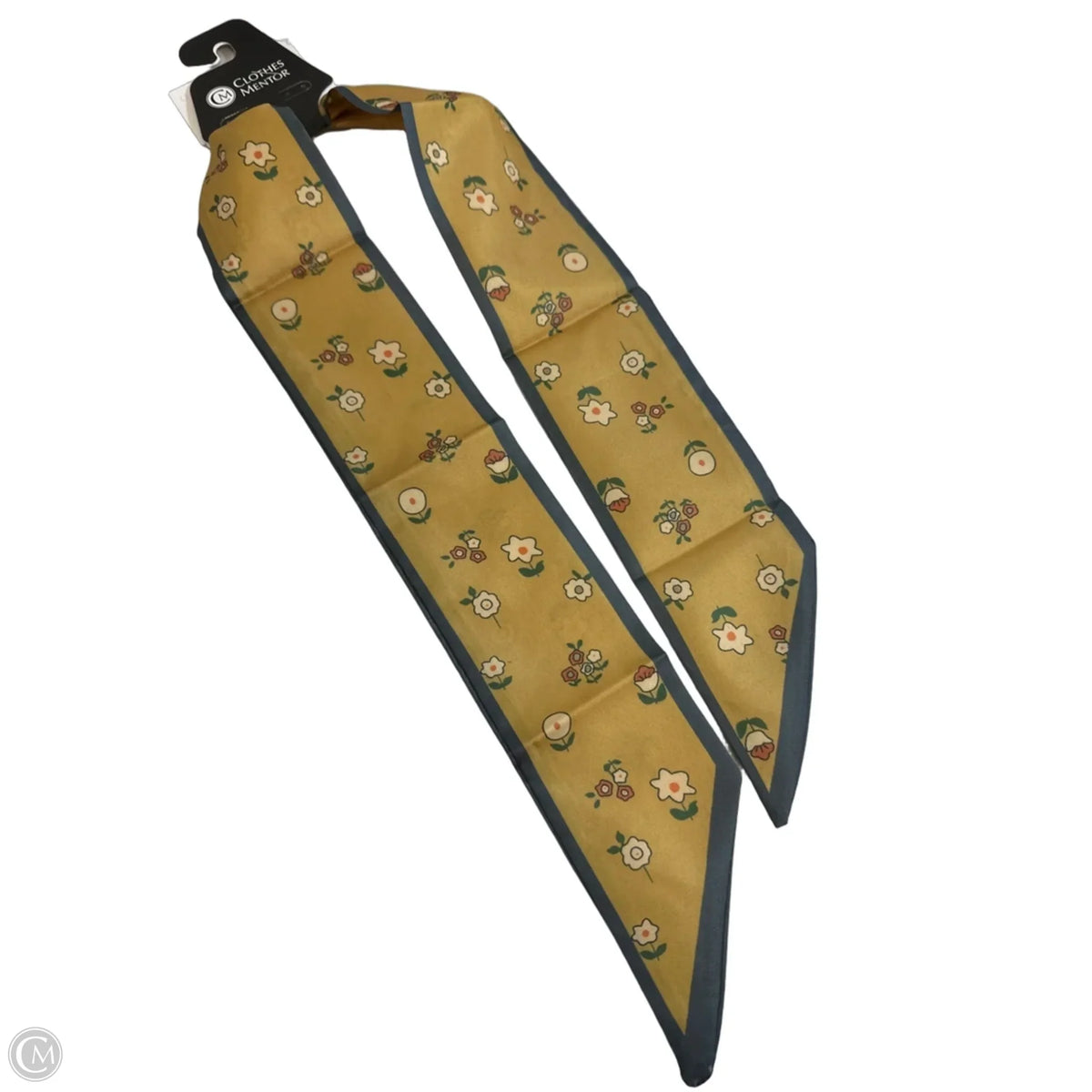 Scarf Long By Clothes Mentor