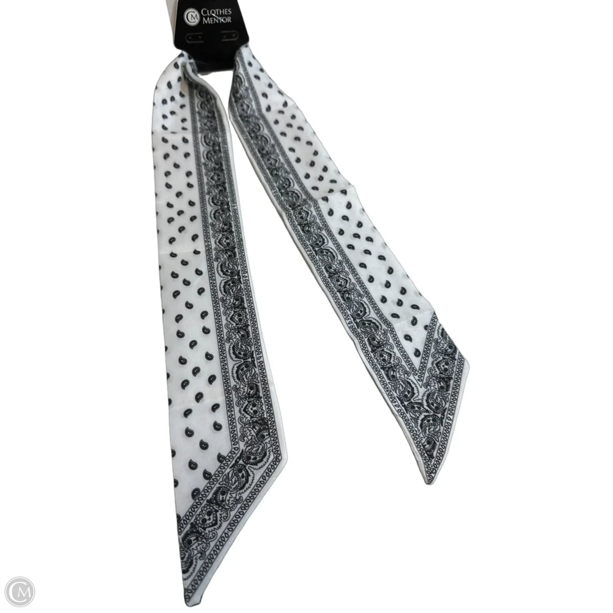 Scarf Long By Clothes Mentor