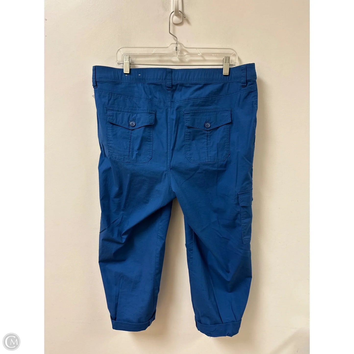 Pants Cargo & Utility By Chicos In Blue, Size: 14