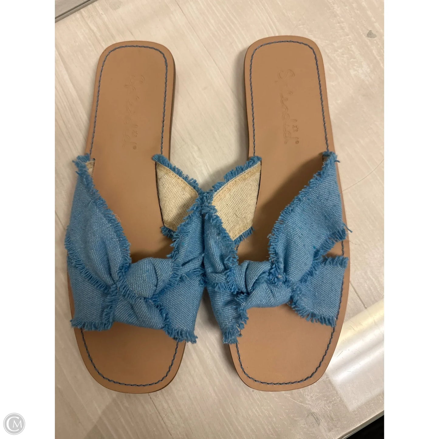 Sandals Flats By Splendid In Blue, Size: 9
