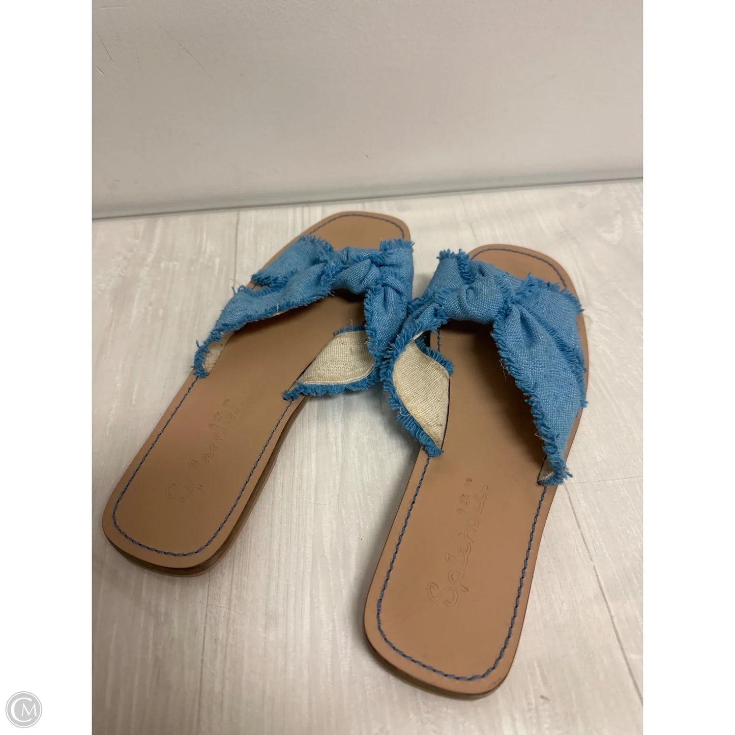 Sandals Flats By Splendid In Blue, Size: 9