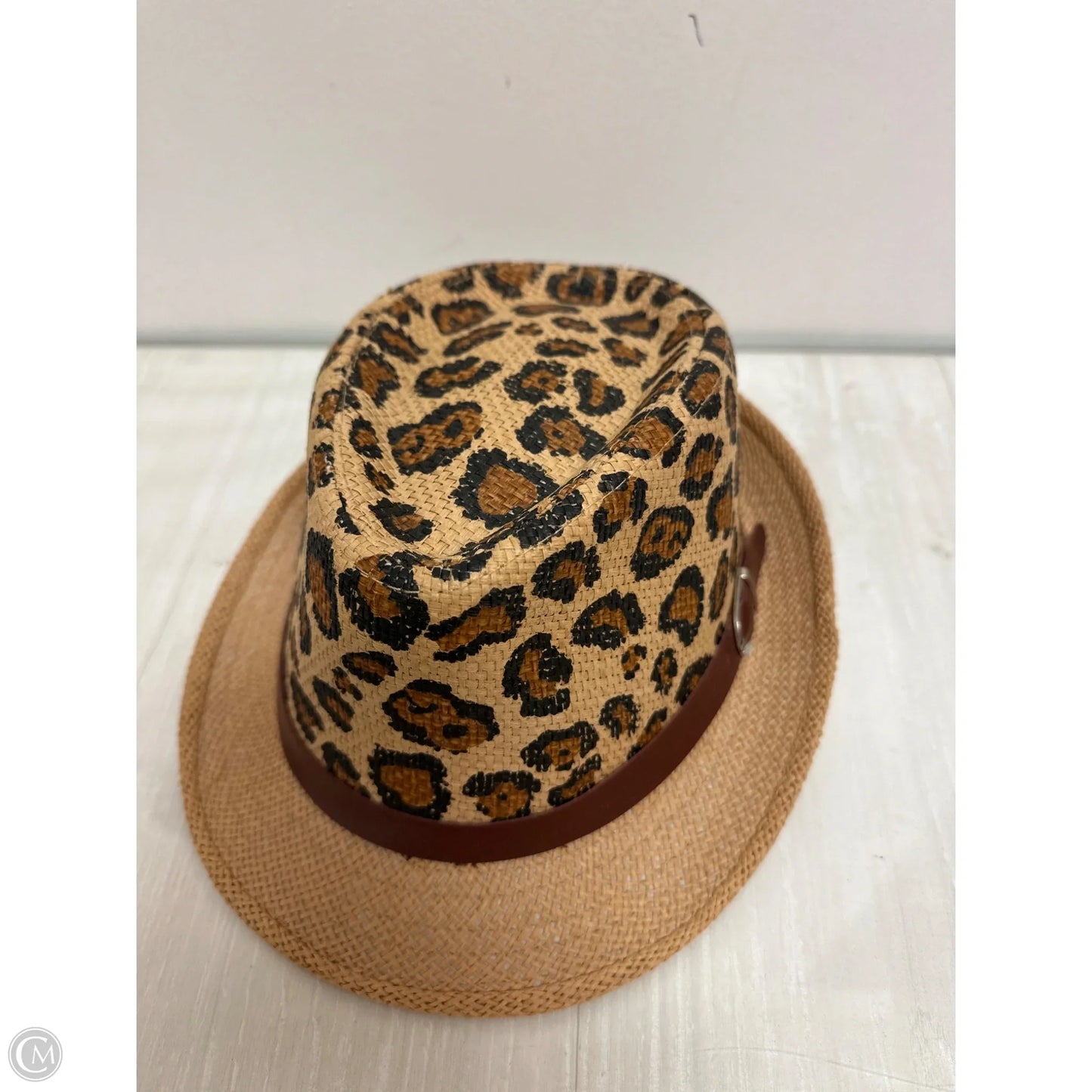 Hat Fedora By Clothes Mentor
