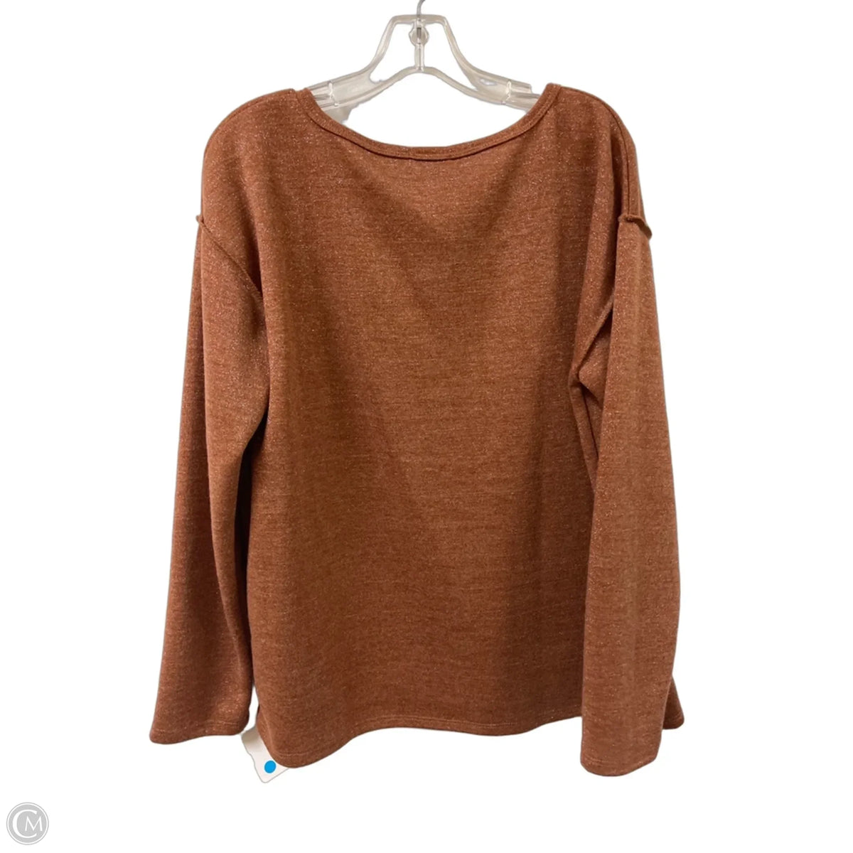 Top Long Sleeve By Bibi In Brown, Size: L