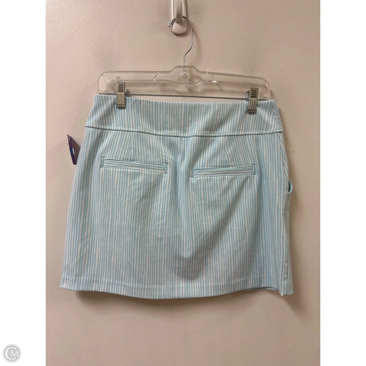 Athletic Skort By Clothes Mentor In Blue, Size: S