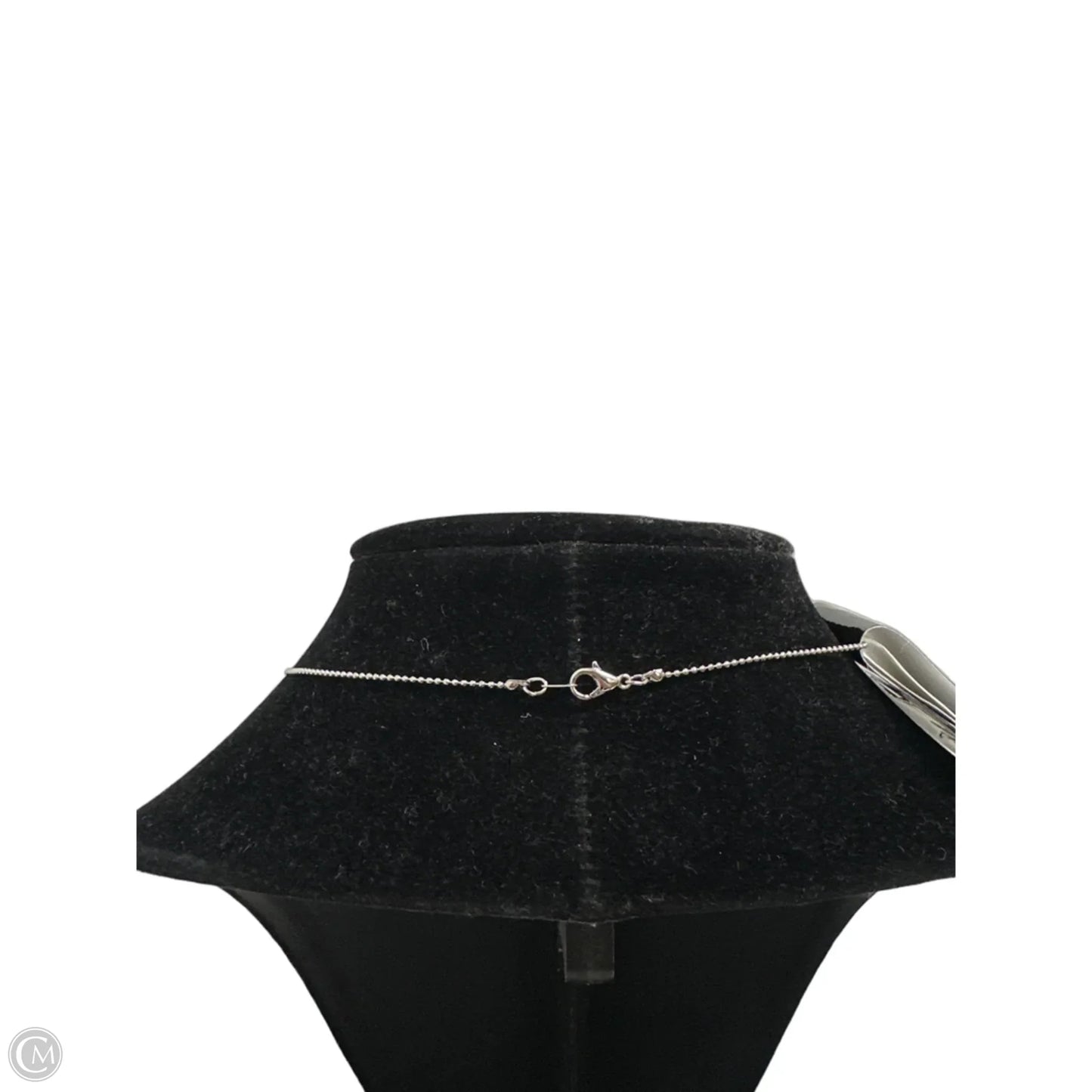 Necklace Chain By Clothes Mentor