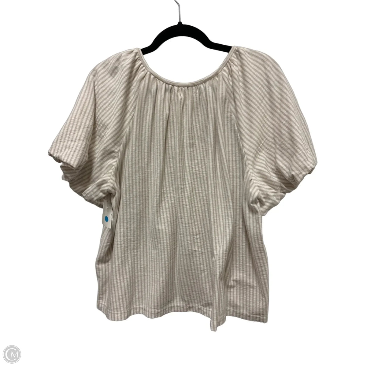 Top Short Sleeve By Max Studio In Tan, Size: M