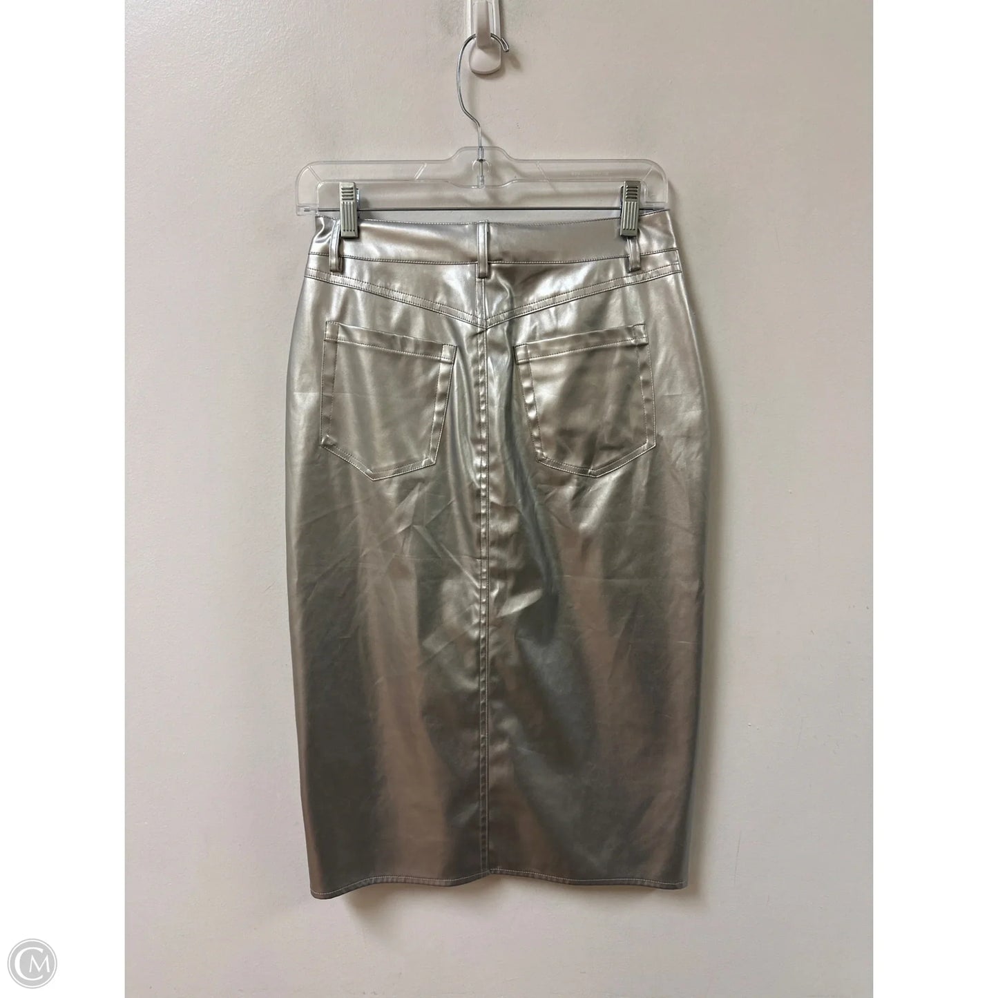 Skirt Midi By Porridge In Silver, Size: 2