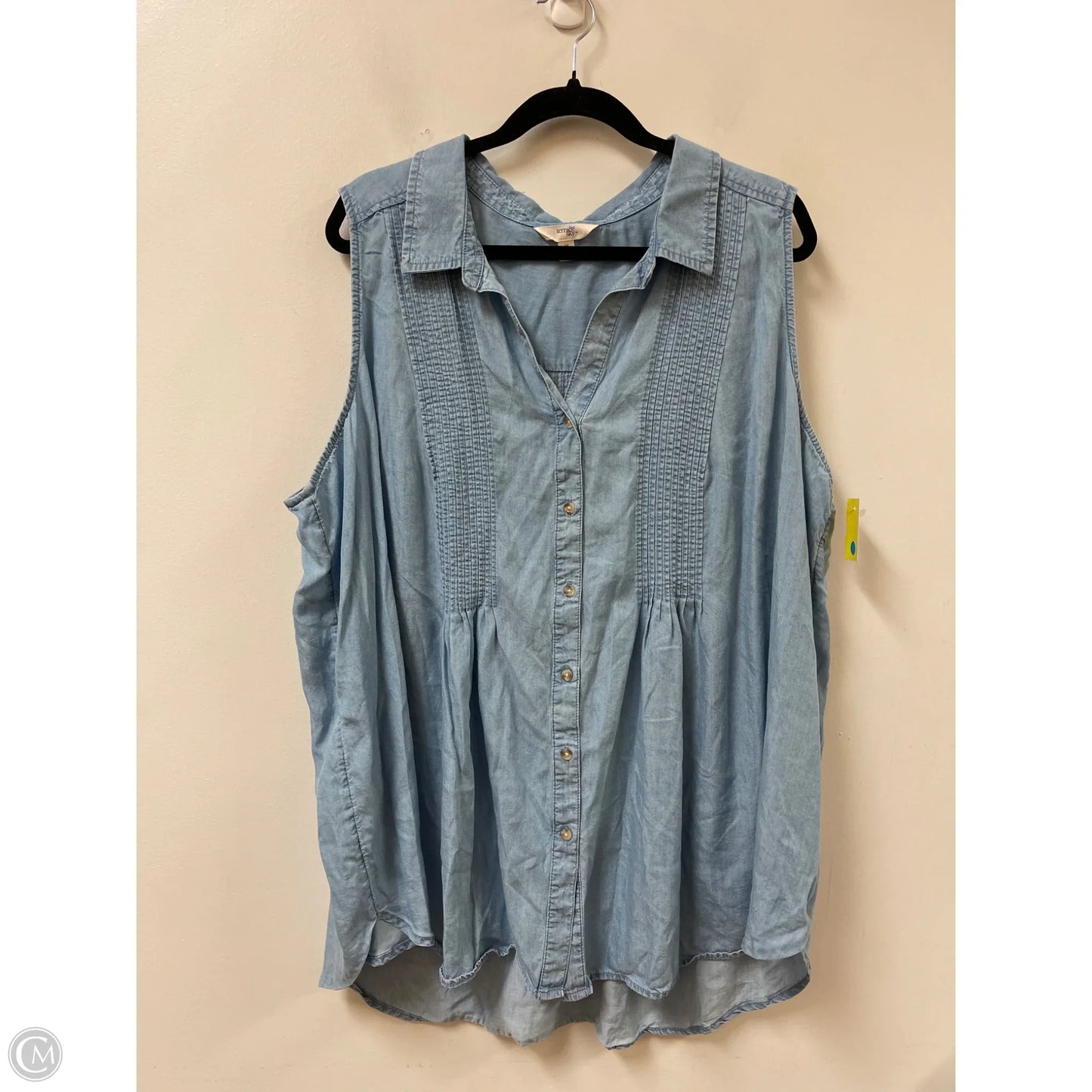 Top Sleeveless By Terra & Sky In Blue, Size: 3x