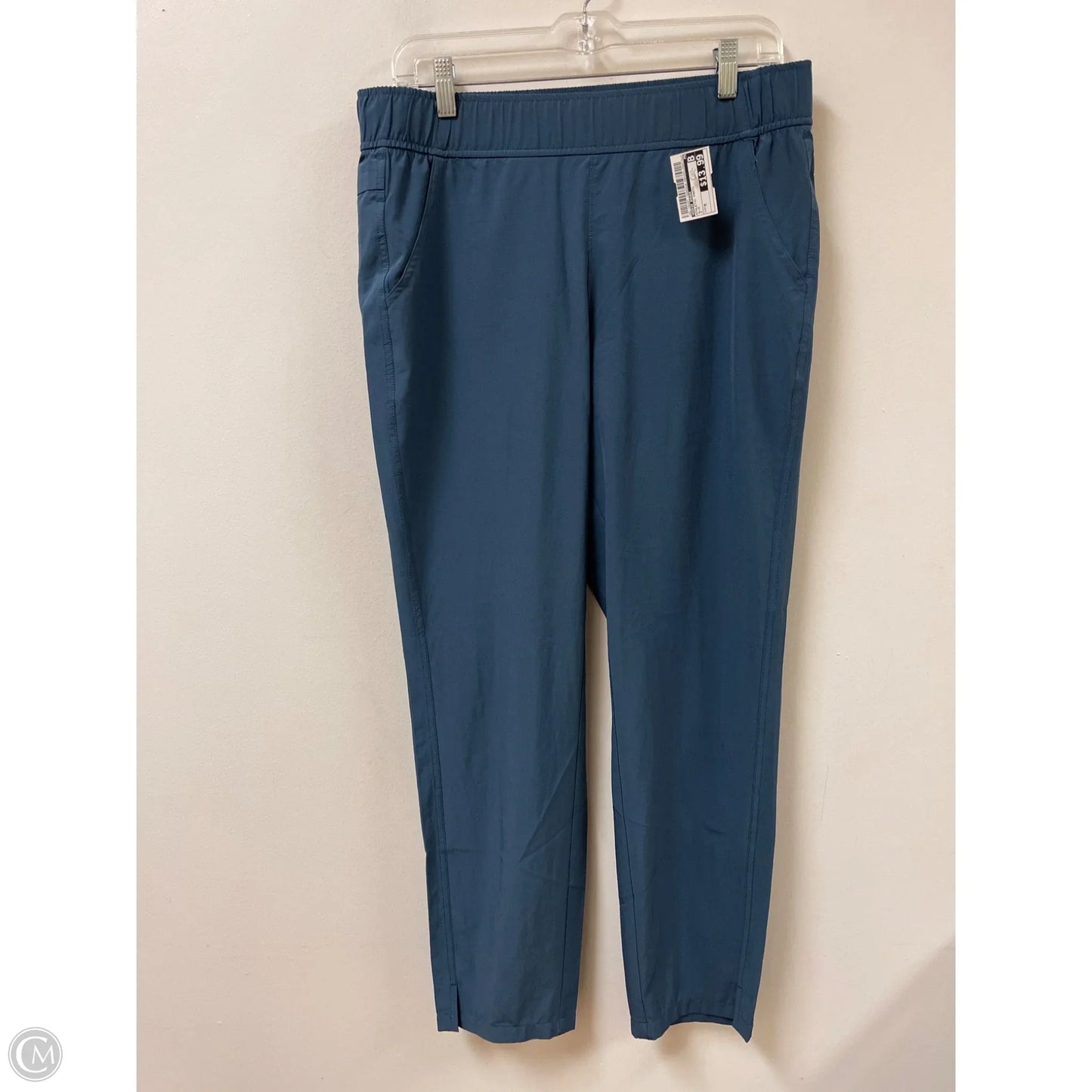 Athletic Pants By Eddie Bauer In Blue, Size: M
