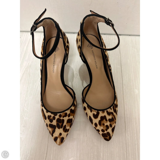 Shoes Heels Kitten By Antonio Melani In Animal Print, Size: 6