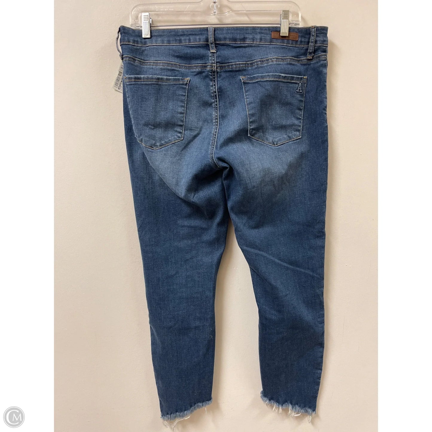 Jeans Skinny By Articles Of Society In Blue Denim, Size: 14