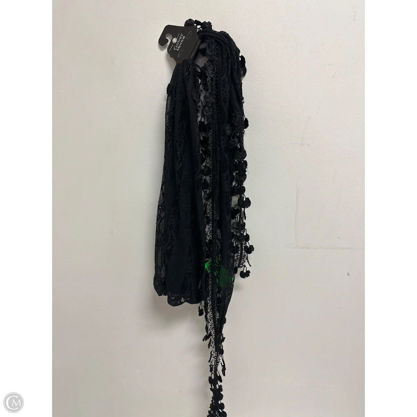 Scarf Long By Clothes Mentor
