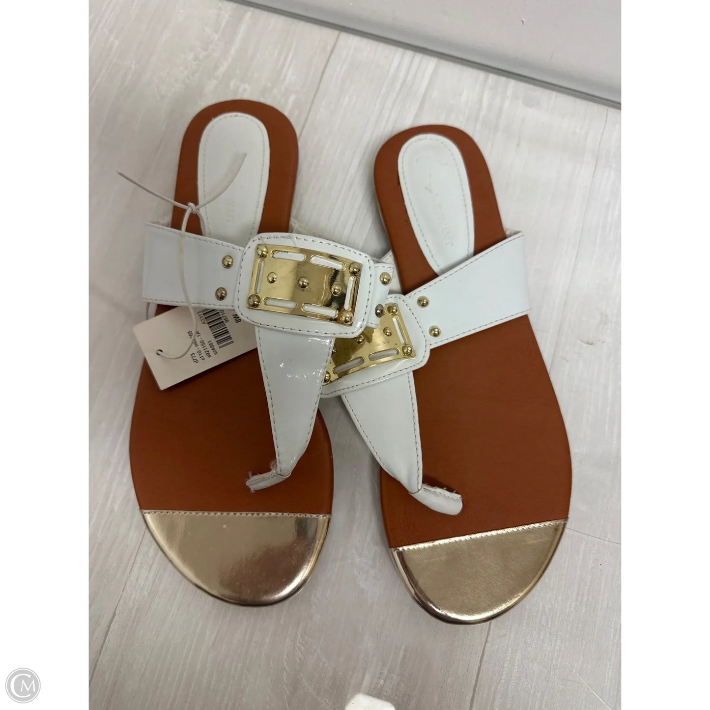 Sandals Flip Flops By Lane Bryant In White, Size: 11