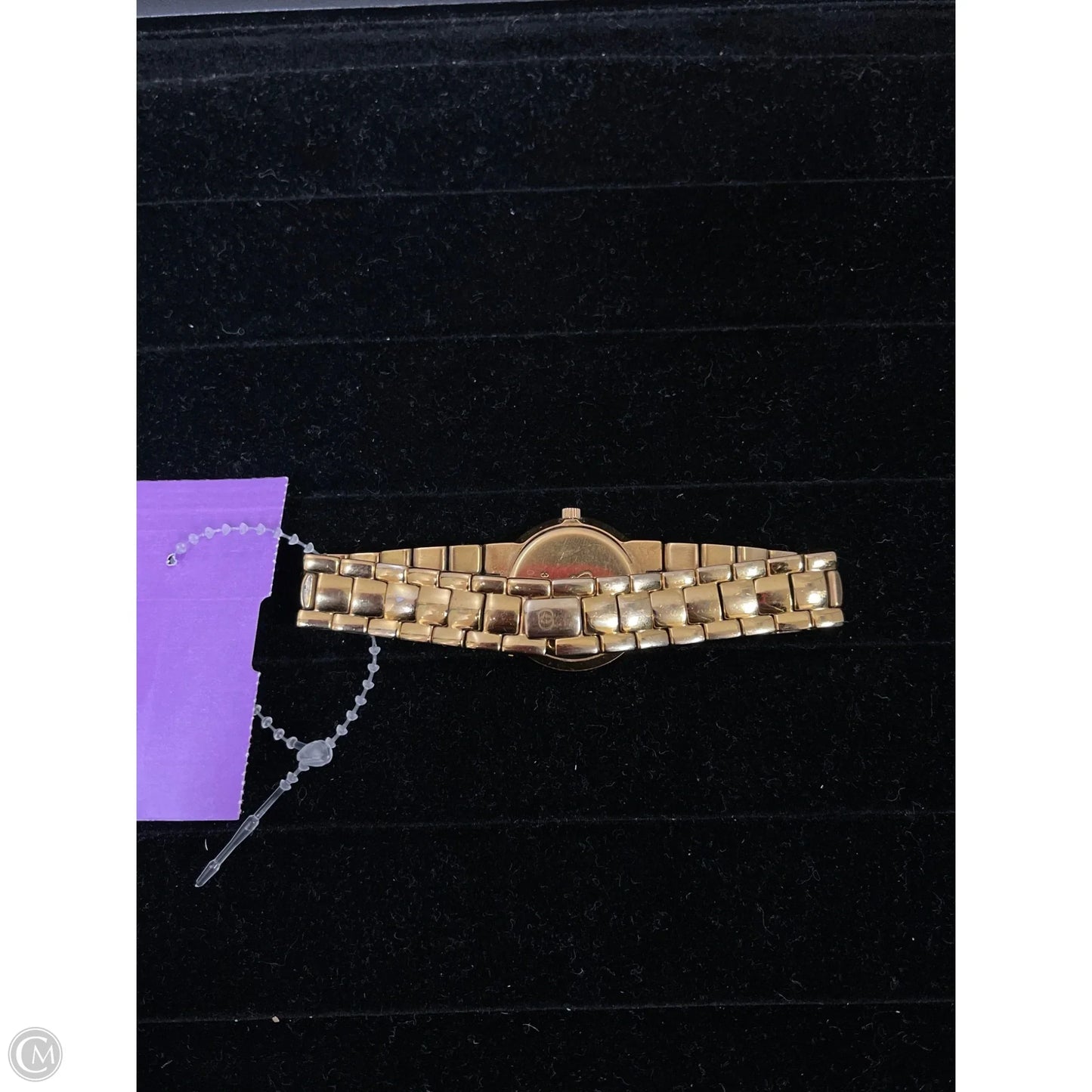 Watch Luxury Designer By Gucci