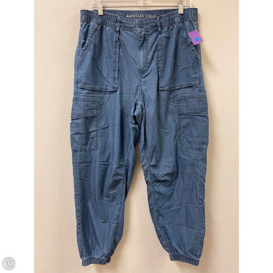 Pants Cargo & Utility By American Eagle In Blue, Size: 14