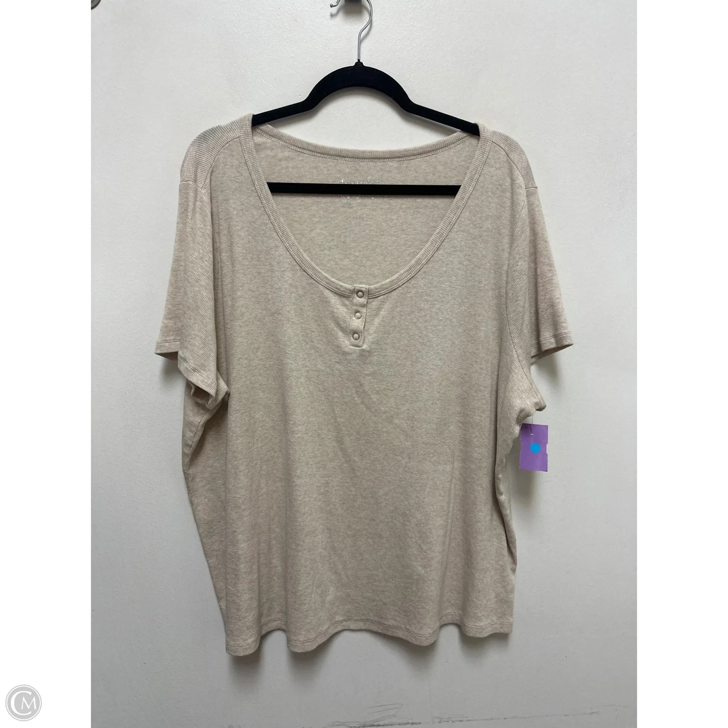 Top Short Sleeve By Terra & Sky In Cream, Size: 3x