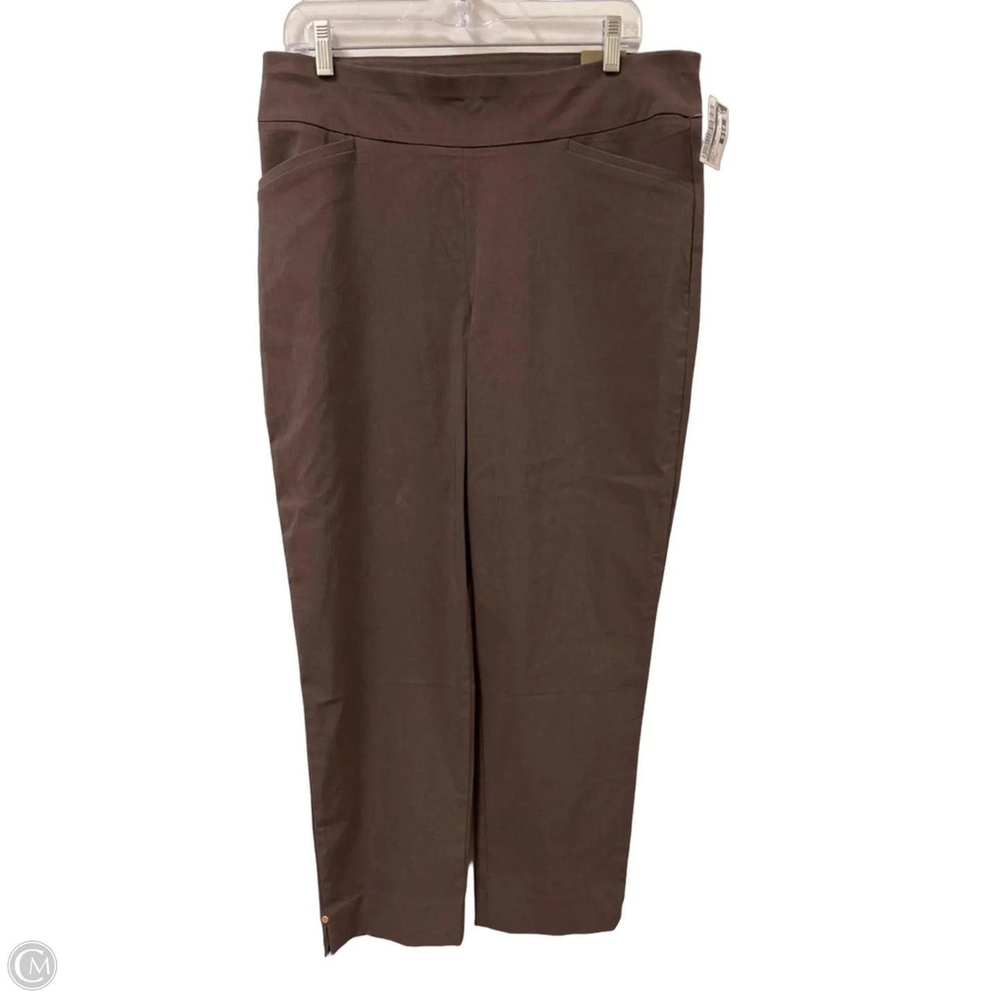 Pants Other By Chicos In Brown, Size: 12