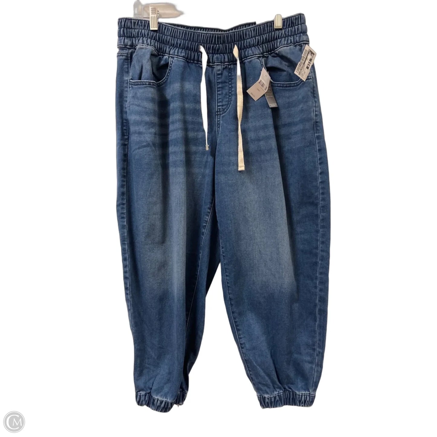 Pants Joggers By Lane Bryant In Blue Denim, Size: 12p