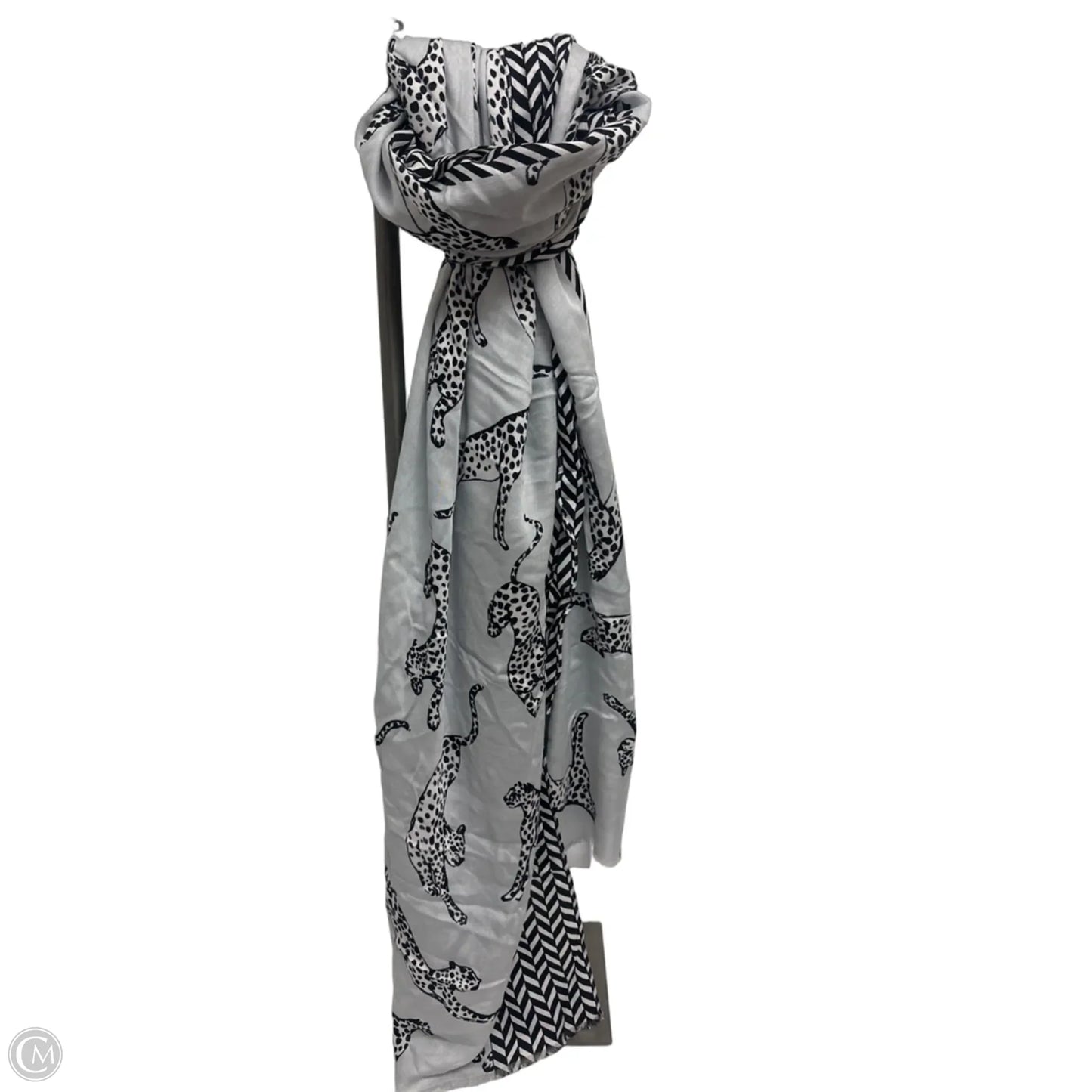Scarf Long By Ann Taylor
