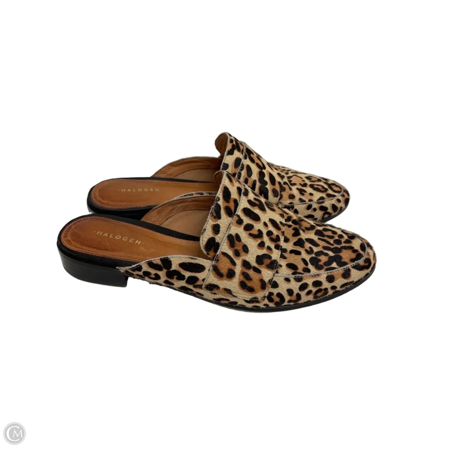 Shoes Flats By Halogen In Animal Print, Size: 7