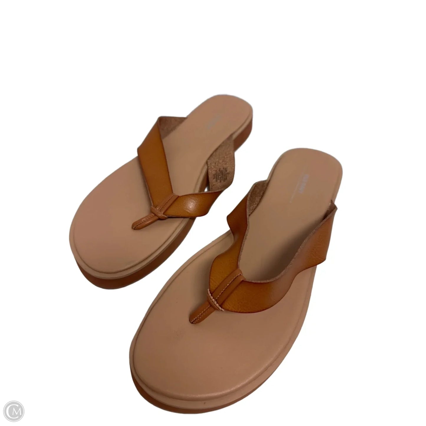 Sandals Flip Flops By Old Navy In Tan, Size: 11