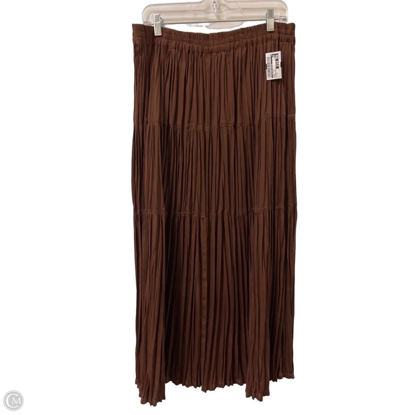Skirt Maxi By Clothes Mentor In Brown, Size: 12