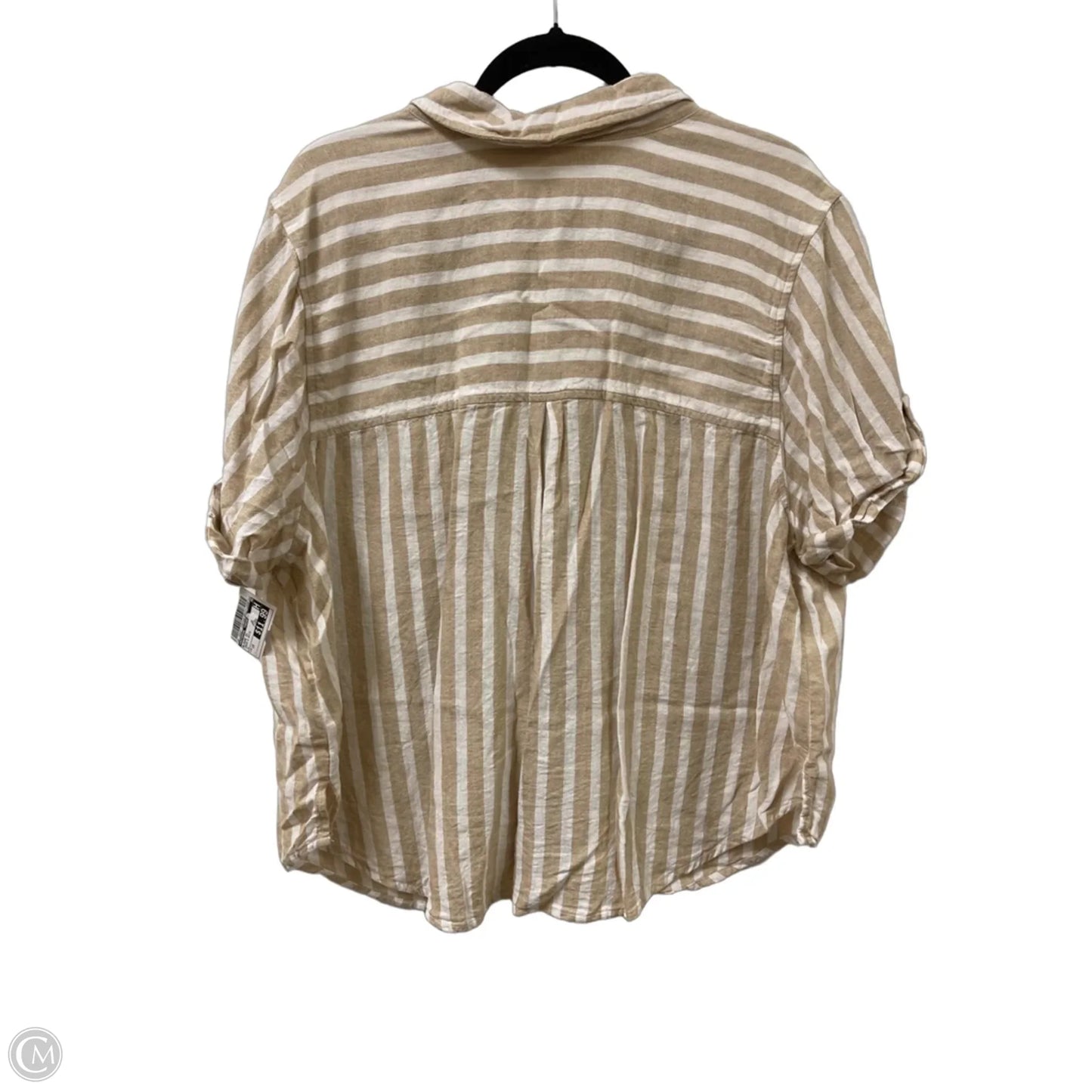 Blouse Short Sleeve By Universal Thread In Cream & White, Size: 1x