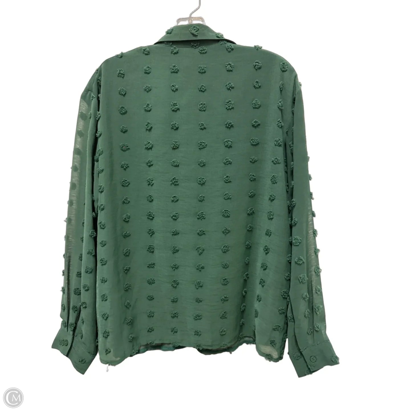 Blouse Long Sleeve By Clothes Mentor In Green, Size: S