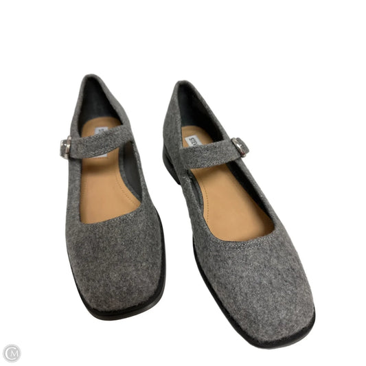 Shoes Flats By Steve Madden In Grey, Size: 8
