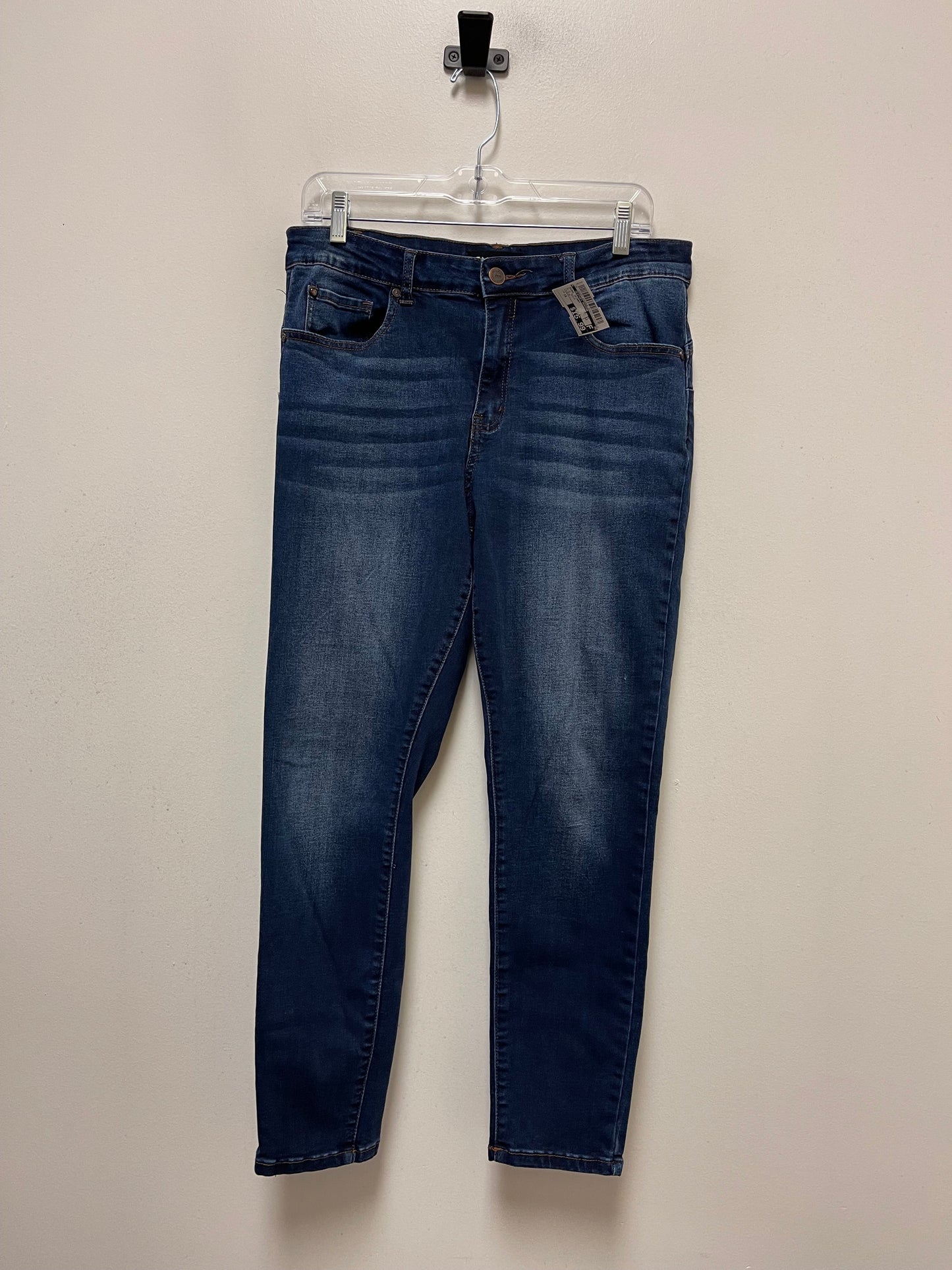 Blue Denim Jeans Skinny Clothes Mentor, Size 16