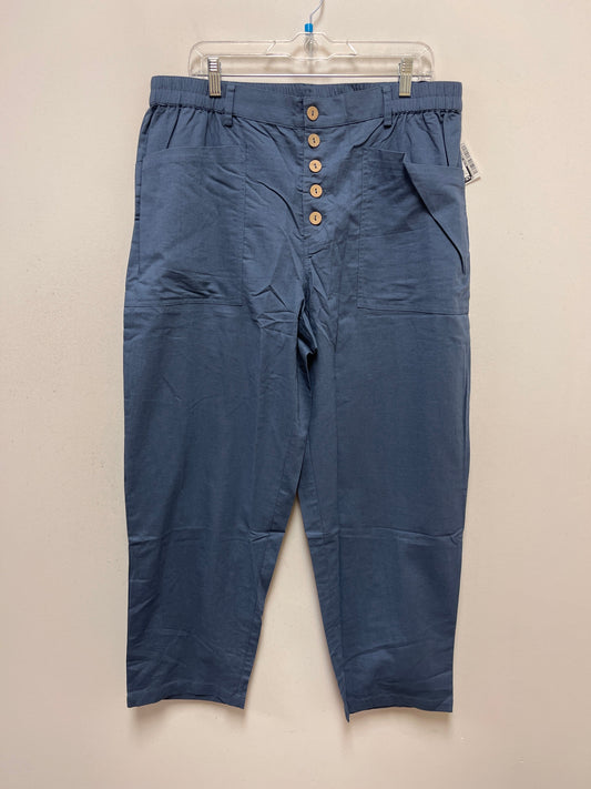 Blue Pants Other Clothes Mentor, Size 20